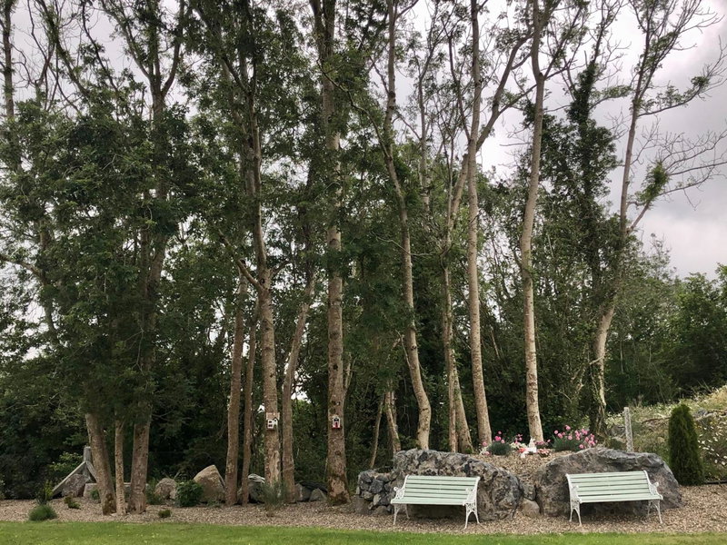 Tir Na Spideoga, Ennis, Irlanda