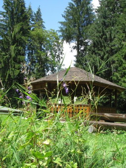 Pensiunea Rhein, Azuga, Rumanía