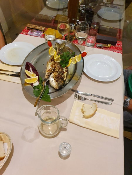 Hotel Meduza, Biograd na Moru, Kroatien