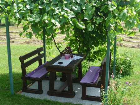 Apartments Tratinčica, Seliste Dreznicko, Kroatien