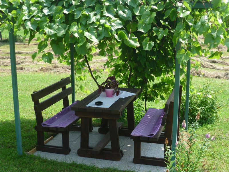 Apartments Tratinčica, Seliste Dreznicko, Kroatien