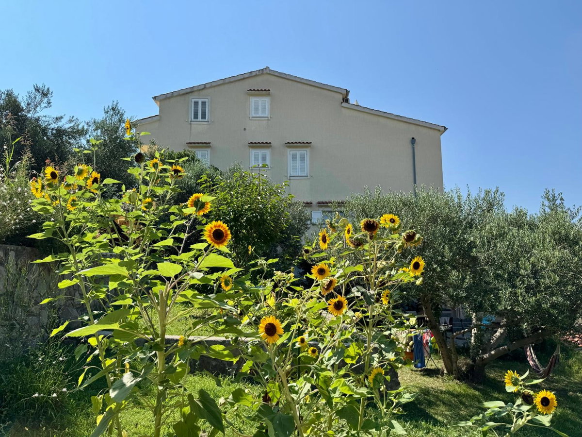 Hotel · Apartments Maričić Banjol, Rab