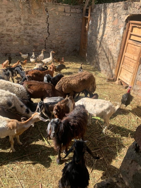 Nubian Farm Aswan, Aswan, Египет