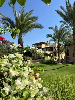 palm shadow resort, Tunis, Égypte