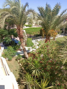 palm shadow resort, Tunis, Ägypten