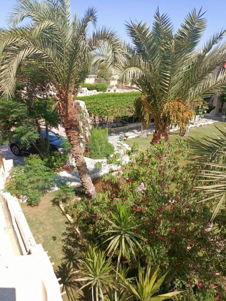 palm shadow resort, Tunis, Ägypten