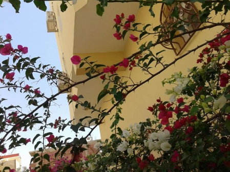 Desert Rose Apartment, Hurghada, Egipto