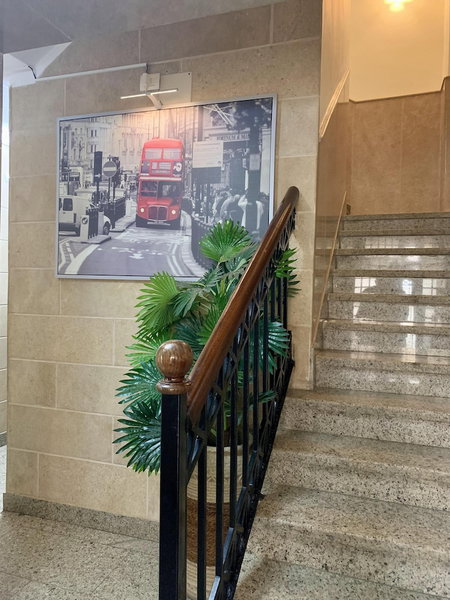 Sakan 275, New Cairo, Египет