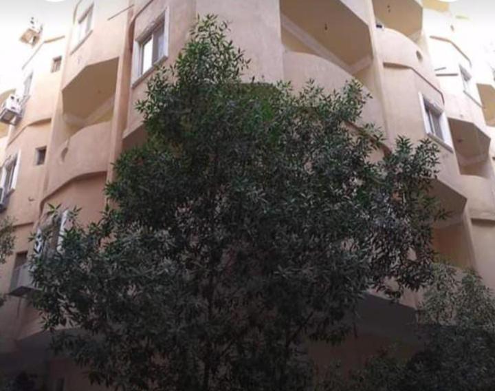 Yasin - Enjoy the privacy of staying in a quiet apartment with free Wi-Fi as your complete second home in the heart of Hurghada, Hurghada, Égypte