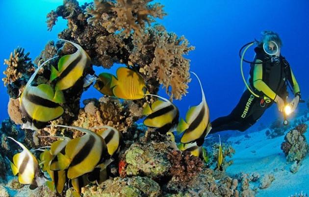 Marena Hurghada, Hurghada, Egypt