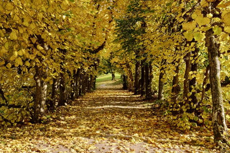 Boen Gård, Kristiansand, Noruega