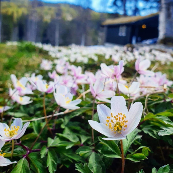 Groven Camping & Hyttegrend, Åmot, Norwegen