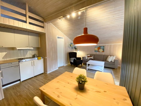 Vennebo - Koselig liten hytte med alle fasiliteter, Ål, Norvège