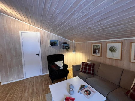 Vennebo - Koselig liten hytte med alle fasiliteter, Ål, Norvège