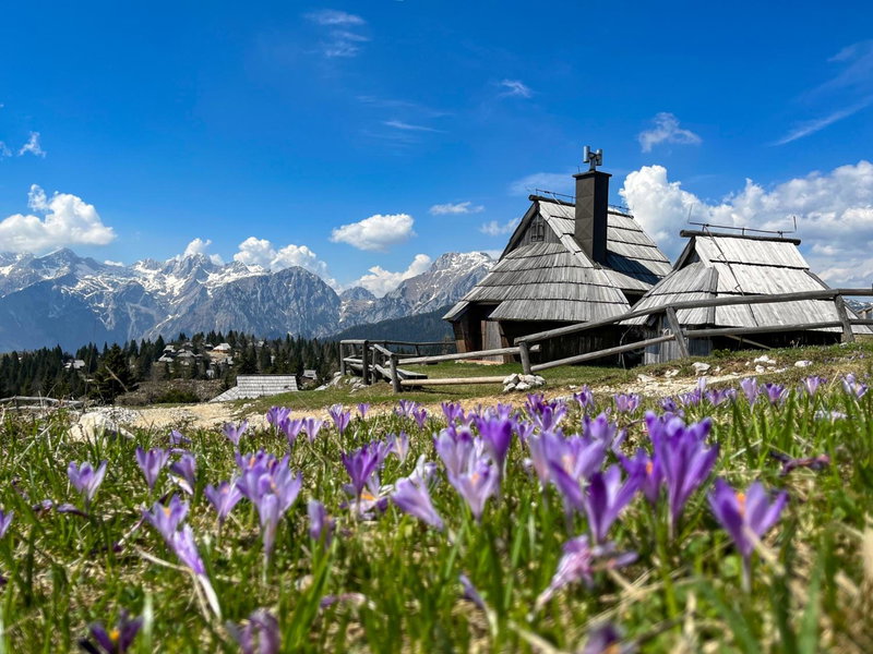 Chalet Kočna - I FEEL ALPS, Stahovica, Slovenia