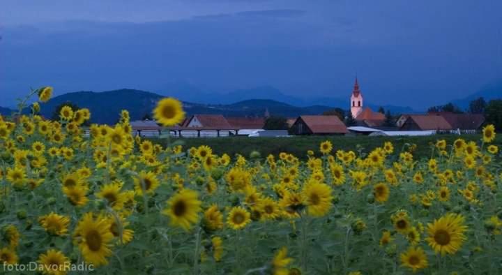 MichoArt, Ljubljana, Slovenia
