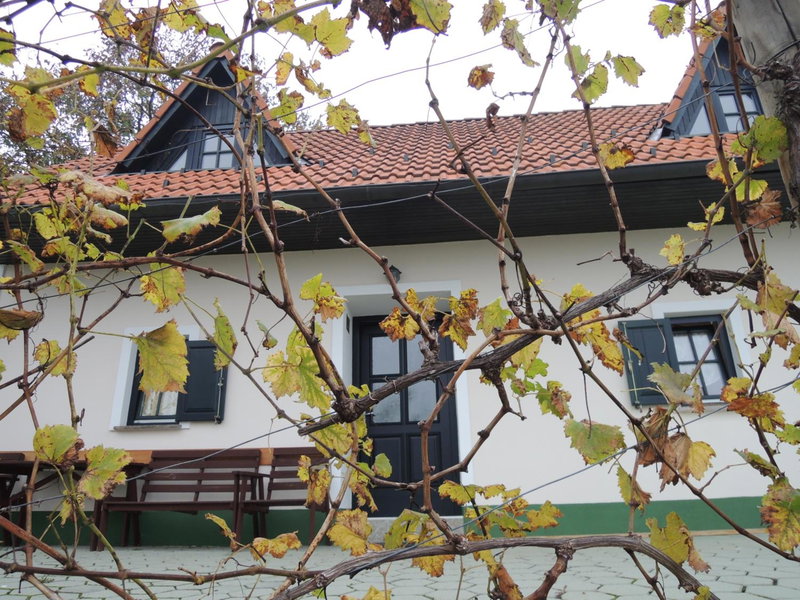 Vineyard Cottage Zdolsek, Šmarje pri Jelšah, Slowenien
