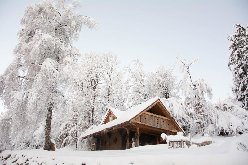 Apartma kašča, Domžale, Eslovenia