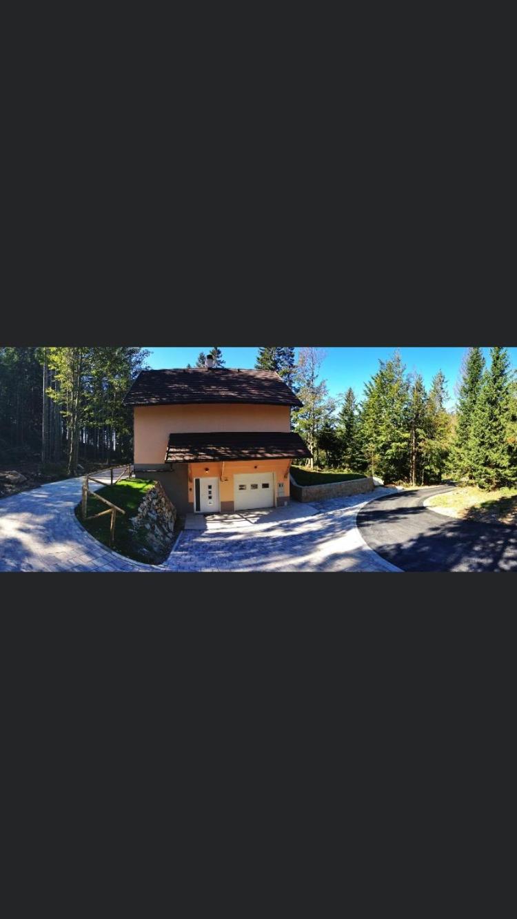 Apartmaji Velikonja, Slovénie