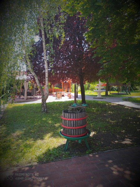 Bacchus Panzió, Eger, Ungarn