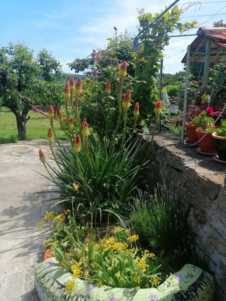 Calla Retreat, Vezenkovo, Bulgarie