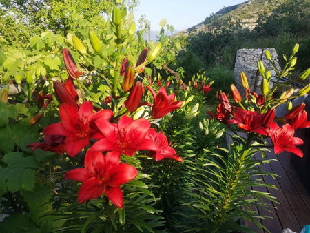 VillaPo, Sandanski, Bulgaria