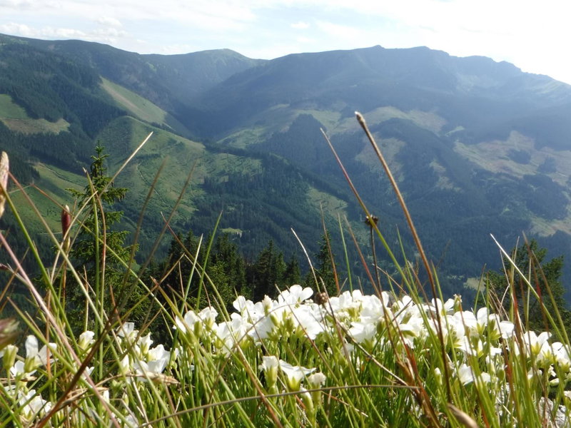 Privát Prima, Liptovský Ján, Slovaquie