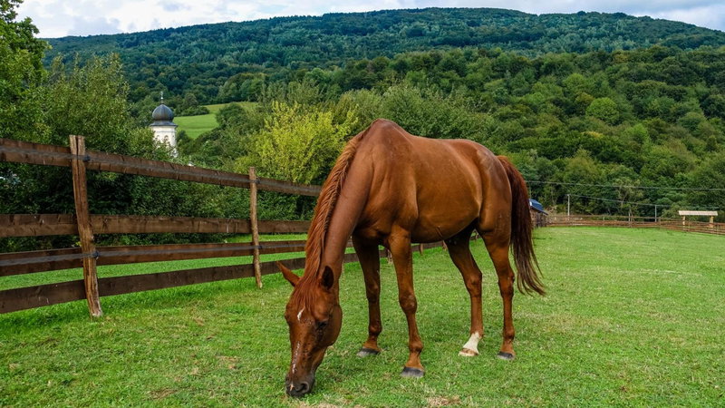 Ranč Regetovka, Bardejov, Slovakia