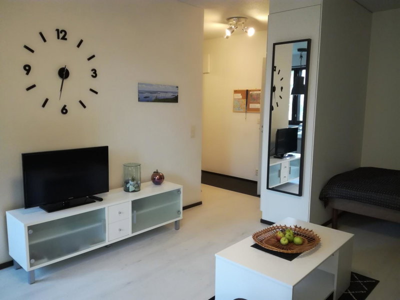 A lovely one-room apartment near the city centre., Vaasa, Финляндия