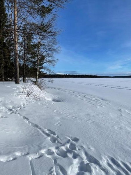 Siljonranta, Muonio, Finland