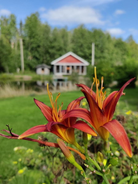 Hannunluhdan Lomamökit, Karijoki, Finland