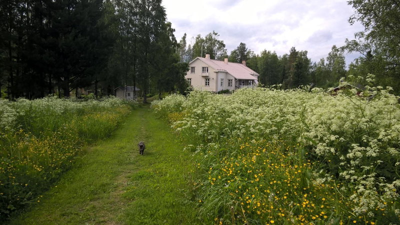 Tohninmäen Talo, Töysä, Finland
