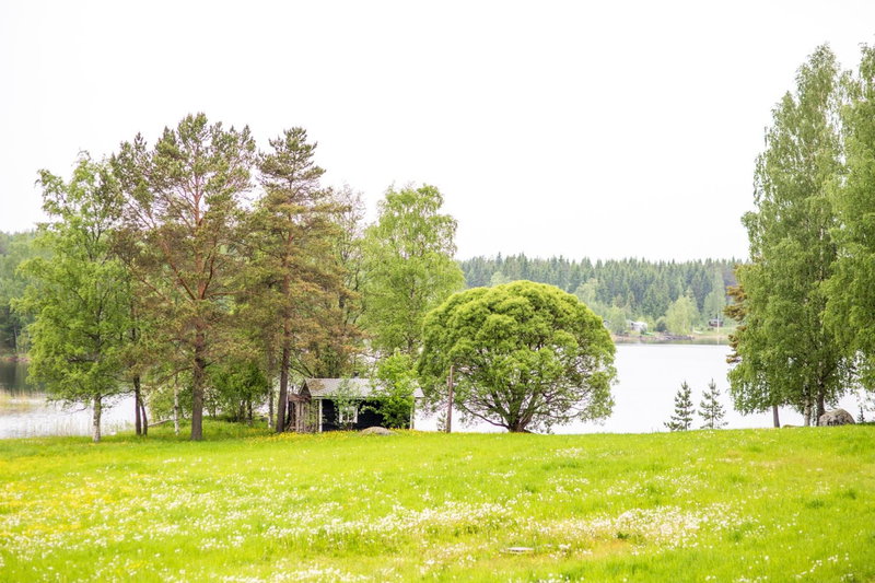 Resort Naaranlahti, Punkaharju, Финляндия