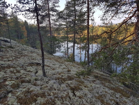 Ranta-Keurula, Laukaa, Finland