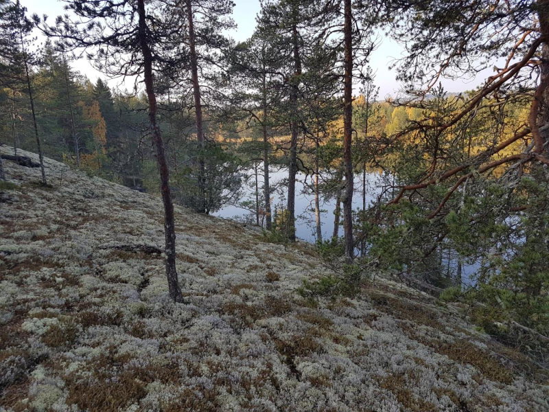 Ranta-Keurula, Laukaa, Finland