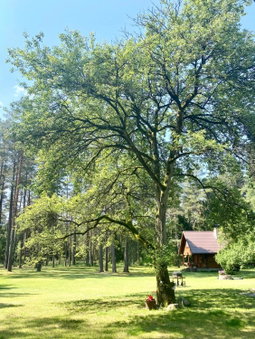 Rojaus Slenis, Druskininkai, Lithuania