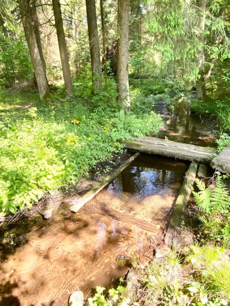Rojaus Slenis, Druskininkai, Lithuania