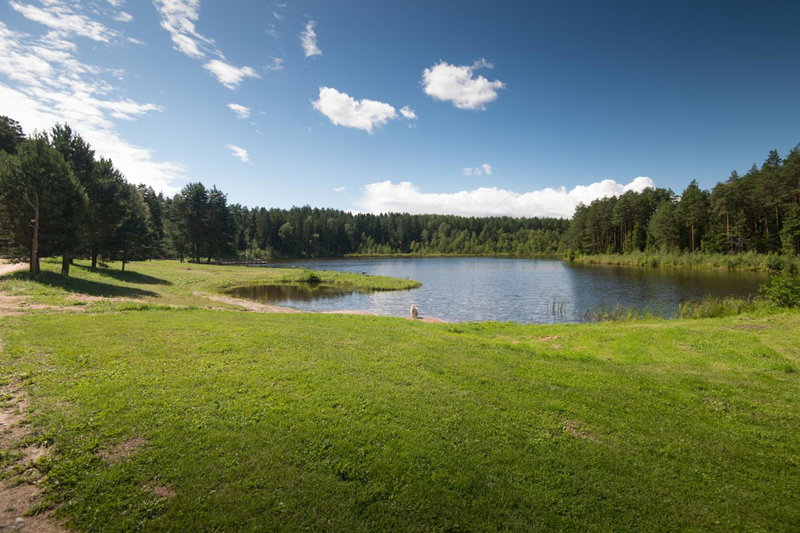 Yurtos, Gaugariai, Lithuania