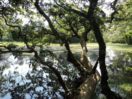 Ahaspokuna by Eco Team, Balangoda, Sri Lanka