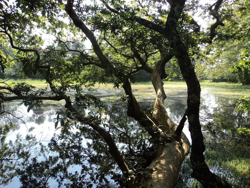 Ahaspokuna by Eco Team, Balangoda, Sri Lanka