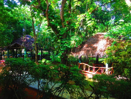 Pelwehera Village Resort, Dambulla, Sri Lanka