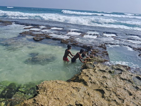 Turtle Beach Talpe, Talpe, Sri Lanka