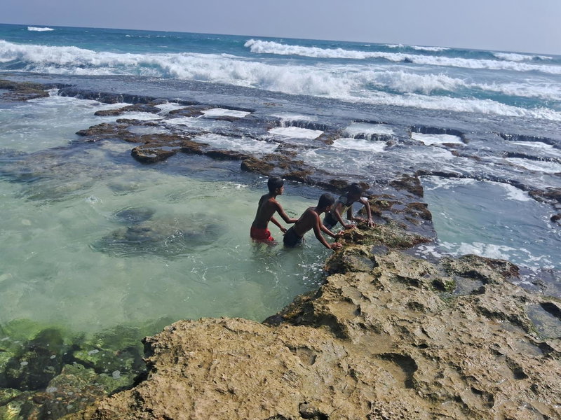 Turtle Beach Talpe, Talpe, Sri Lanka