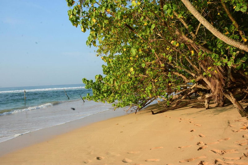 Turtle Beach Talpe, Talpe, Sri Lanka