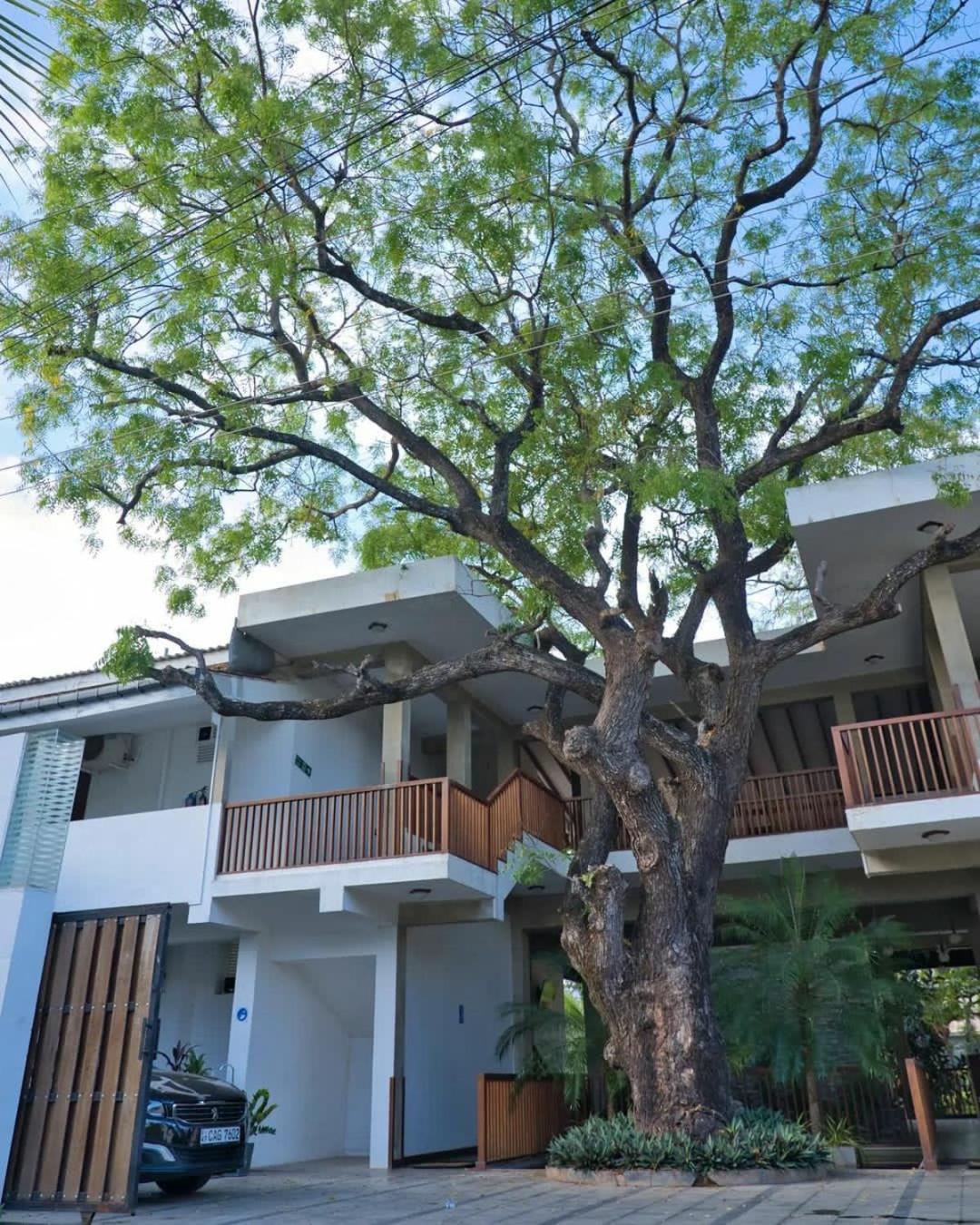 Anantamaa Hotel, Sri Lanka