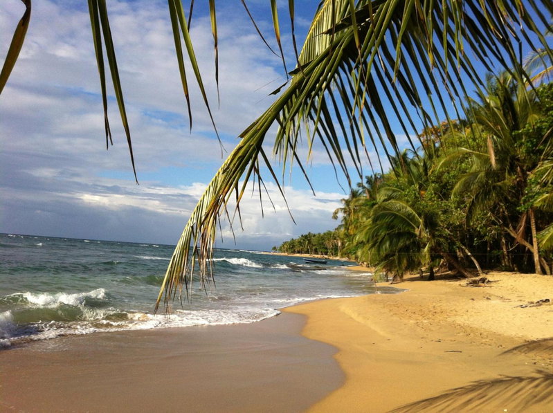 Roots Family, Puerto Viejo, Costa Rica