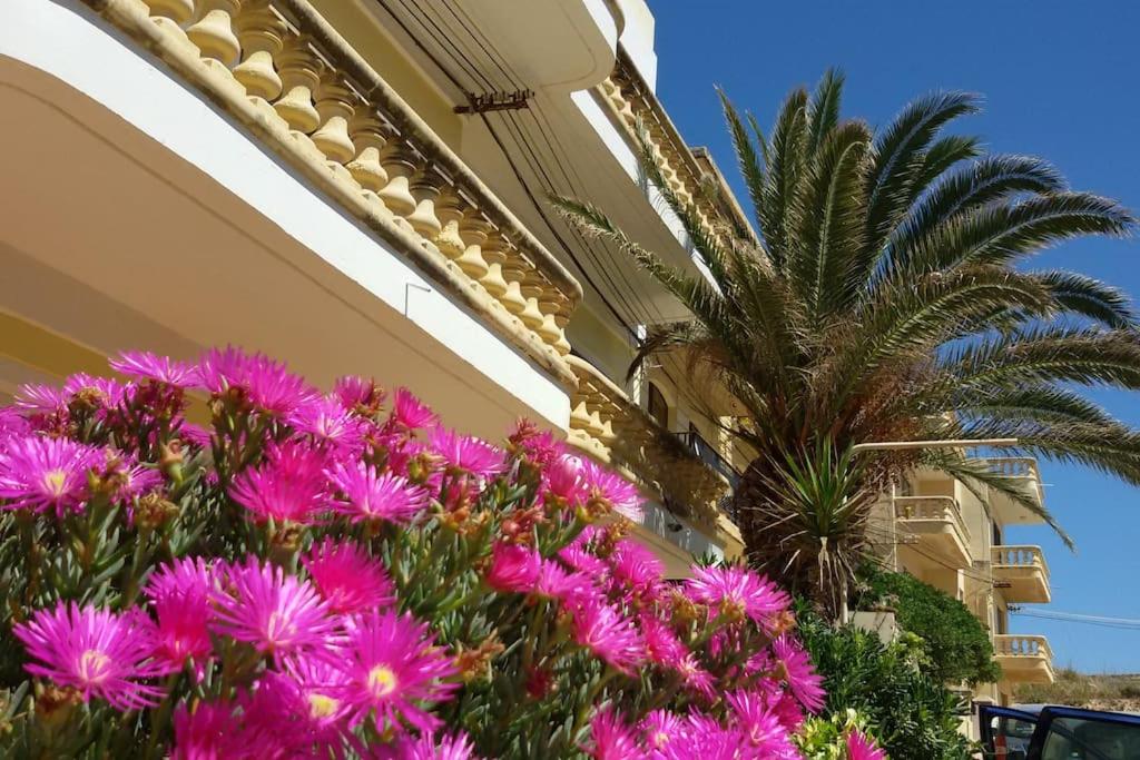 Villa Bronja Superior Airconditioned Studio apartment in Xlendi, Malta