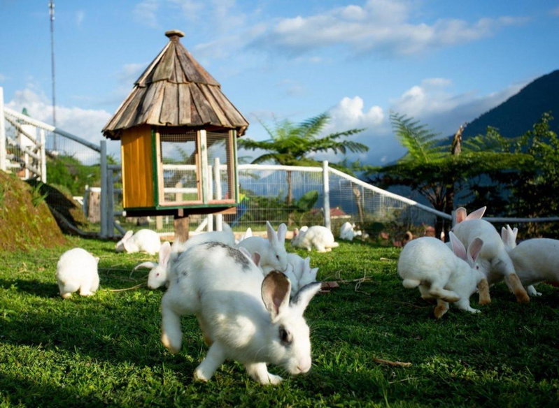 O Châu Homestay Lào Cai, Lao Cai, Вьетнам