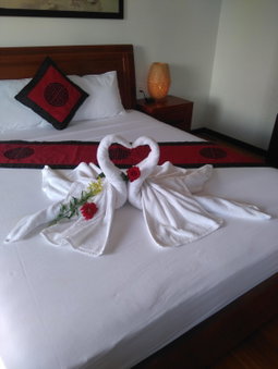 Green CoCo HomeStay, Hoi An, Vietnam