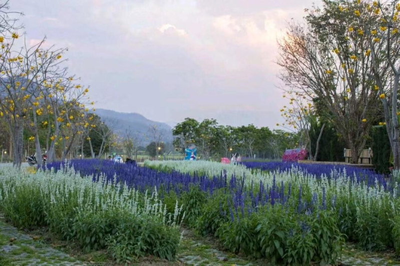 Baan Kung Kang De Pai, Pai, Thailand